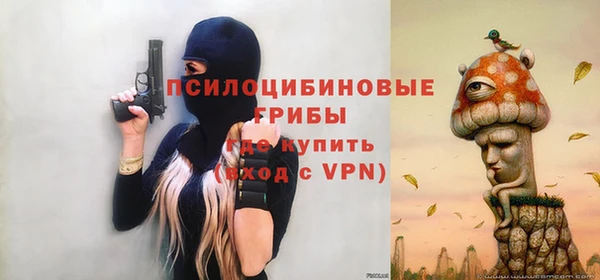PSILOCYBIN Армянск