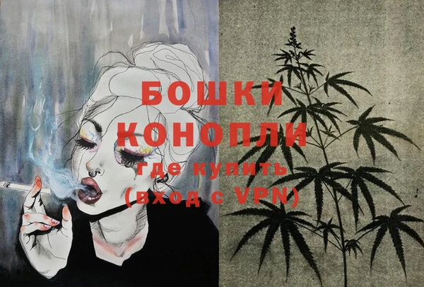 PSILOCYBIN Армянск