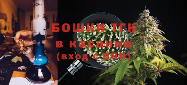 PSILOCYBIN Армянск