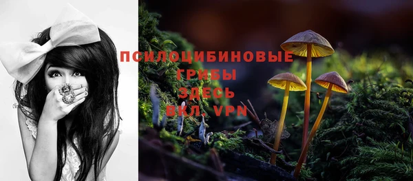 скорость Арсеньев